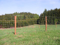 Drátěné ploty